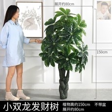 e5743c6c930e971c78948d84eeef7383402b3a5265559abb253ca067e1d5.jpg