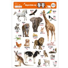 아기동물포스터