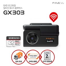 파인뷰gx303