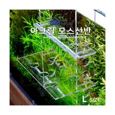 //상품명