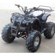 4륜오토바이 사발이 농업용 오프로드 ATV 산악 바이크, 블랙