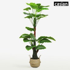 포스아트 인조나무 알로카시아(기둥형F) CN 인테리어 조화나무, 160~170cm