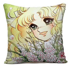 들장미소녀캔디만화책