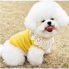 골든듀스윗봉봉