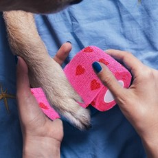 애완 동물 강아지 고양이 의료 통기성 탄력 붕대 부직포 애완 동물 자체 접착 상처 야외 개폐식 스포츠 테이프 개 액세서리