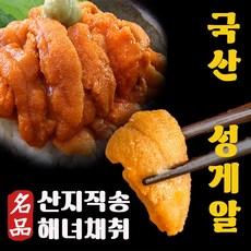 말똥성게 산지직송 자연산 국내산 생물 해녀 채취 제철 우니 성게알 비빔밥 회 스시용 성개알, 보라성게알 200g, 1개