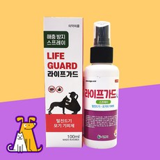 라이프가드반티