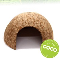 코코넛 은신처 대