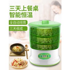 생명콩나물키우기