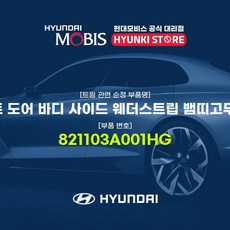 hg웨더스트립