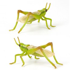 메뚜기장난감