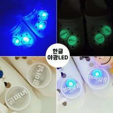 프라다지비츠