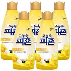 피죤엘로미모사
