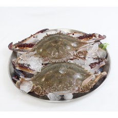 냉동 꽃게 숫꽃게 한박스 4kg [크기 선택], 1박스, 12미내외(300/400)