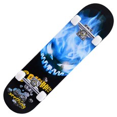 롱보드 열전환인쇄 스케이트보드 전문 skateboard더블날개 4륜, T08-작은악마