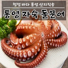 가온애왕문어
