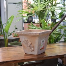 올리토스트기