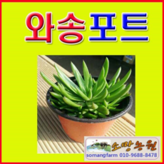 584cd834557a13f2fec9bfce9f14d841af90fdf3d4c774314bfe012cfff3.png