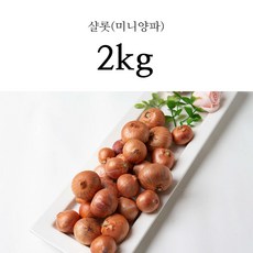 네덜란드샬롯