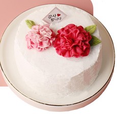 감사케익만들기 미니 DIY 요리키트 어버이날 카네이션케익 어린이집 쌀반죽