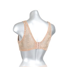 비비안레이스팔토시