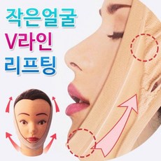 코르셋끈