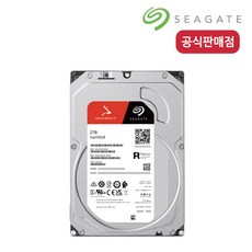 씨게이트 아이언울프 하드디스크 NAS용 HDD, 2TB, ST2000VN003 - st2000vn004