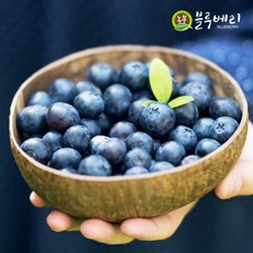 GAP(우수농산물) 블루베리 1kg [원산지:국산]