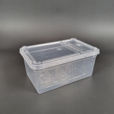 도마뱀 달팽이 사마귀 키우기 반투명 케이지 소형