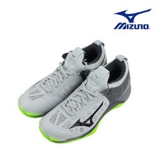 미즈노웨이브모멘텀2