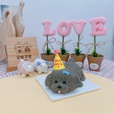 강아지전신케이크