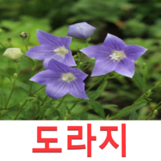 fab937ef311d696ee8d5e13e2e078635fc1e6c9bc534eef6d434494a2140.png