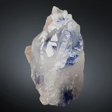 듀모티어라이트