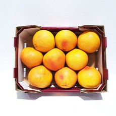 코스트코 자몽1박스 3.5kg [에어캡 포장], 1개