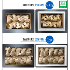 솔 송화버섯선물세트 500g 1kg(당일 출고가능), 1kg, 1개