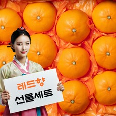 제주 명품 레드향 선물세트, 1박스, 선물용레드향 5kg(중과20~25과 실중량4.5kg)