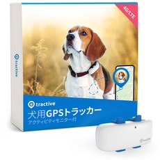 개목걸이gps