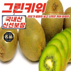 국산 참다래 그린 키위 대과 3kg (19-23과), 1개, 상세페이지 참조