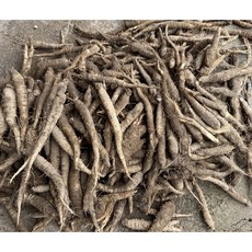 더덕 수입 중국산 신선 구이 더덕무침용, 1박스, 10kg