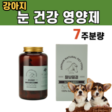 이앓이약