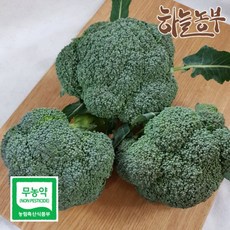 하늘농부 친환경 브로콜리 1입 브로컬리, 1개