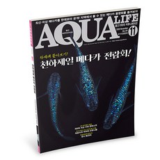 아쿠아라이프 2020년 11월호