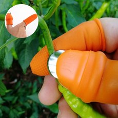 엄지손가락장갑