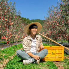 껍질째 온거로 먹는 청송 꿀땡이사과 햇부사 5kg/10kg, 4. 부사 혼합 5kg 24~26과(꼬마), 1개