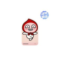 삼성카카오외장하드