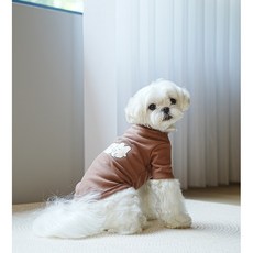 멍냥부띠크 강아지 곰돌이 티셔츠 실내복, 초코, 1개