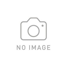 [신품·토 일 공휴일도 발송]TAMRON 탐론 17-50mm F4 Di III VXD 소니 E용 Model A068