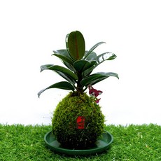 b6eb1578c1cb6ce9814ab50c84e1a2e1542f4c84ba6bf2e87b40e9eafe01.jpg