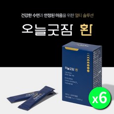 마음치료제