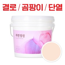 결로방지페인트 자연정원 18kg 항균 곰팡이방지 단열 베란다 실내 친환경 페인트, 피치핑크, 1개
